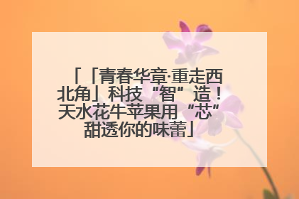 「青春华章·重走西北角」科技“智”造！天水花牛苹果用“芯”甜透你的味蕾
